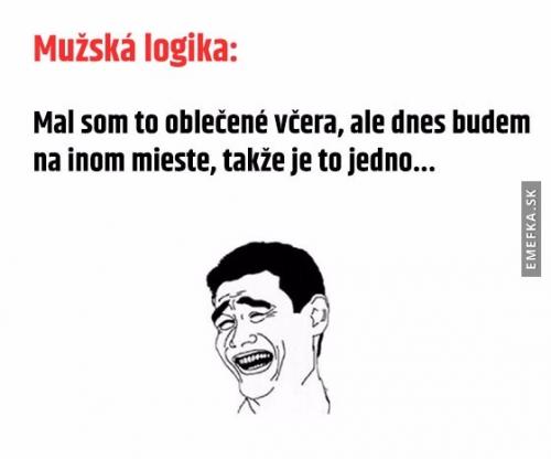  Mužská logika 