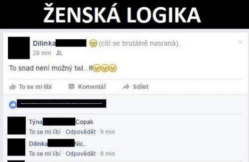  Ženská logika 