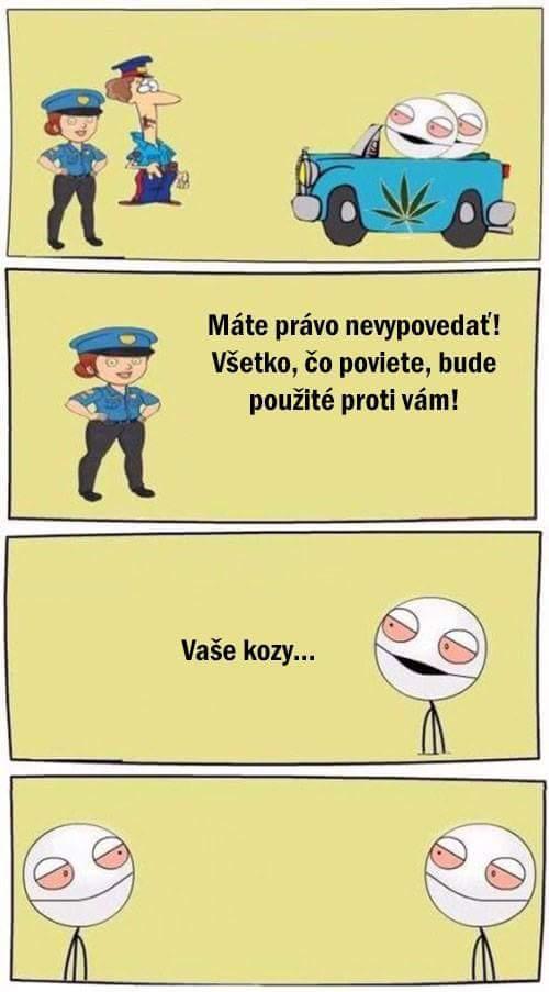  Výmluva na policistu 