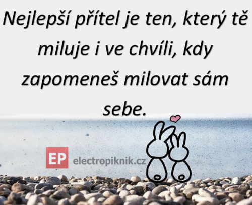 Přítel