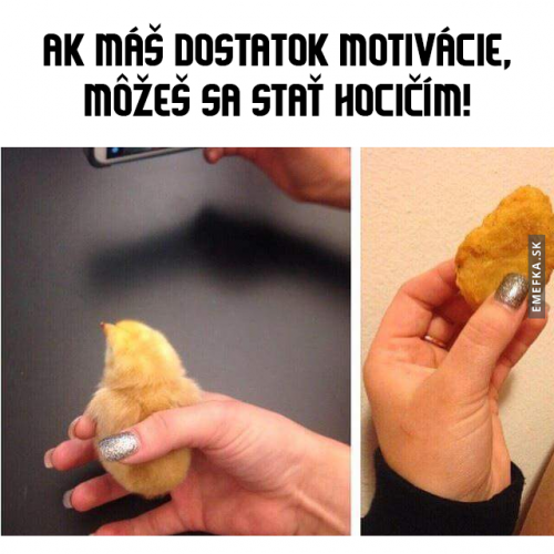  Motivace 