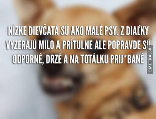  Malá děvčata 