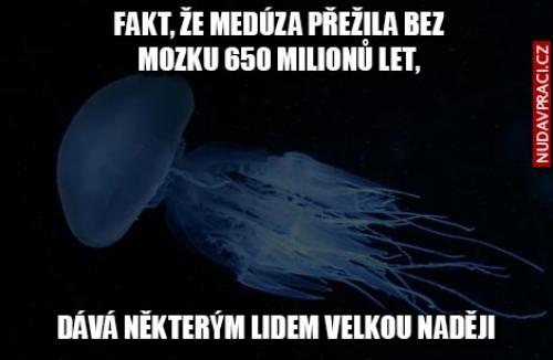  Medúza 