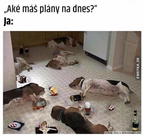 Plány