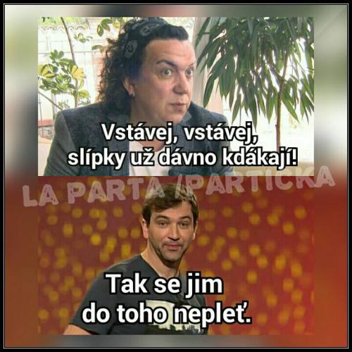 Slípky