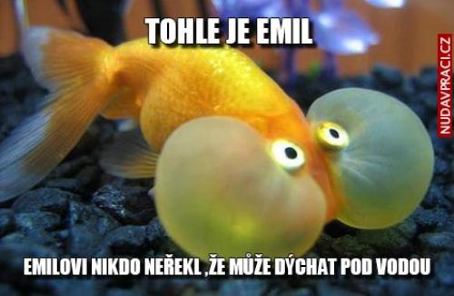  Emil 