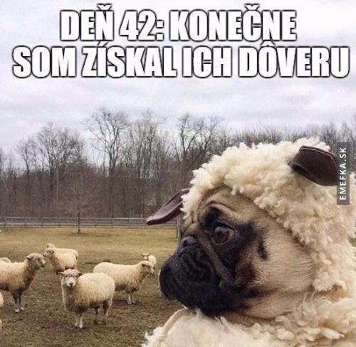 Důvěra