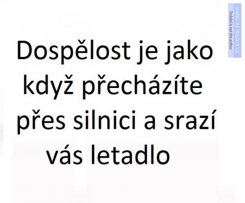  Definice dospělosti 