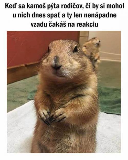 Když čekáš na odpověď rodičů