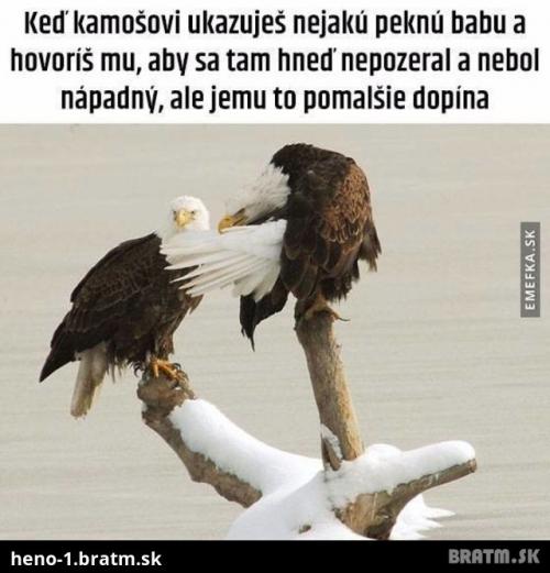  Kámoš 