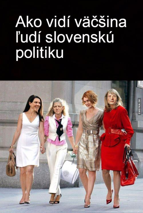  Slovenská politika očima lidí 