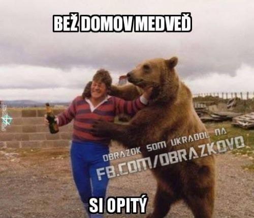 Jdi domů, medvěde