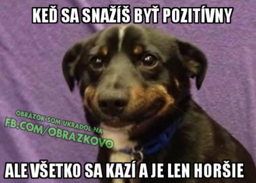 Přímo:D