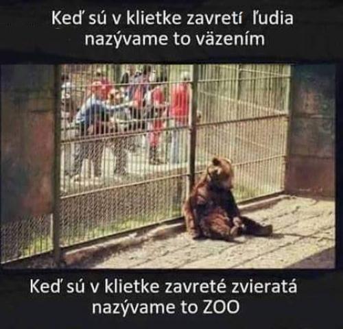  Zoo 