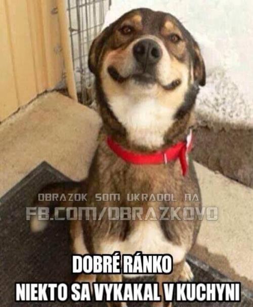  Dobré ráno! 