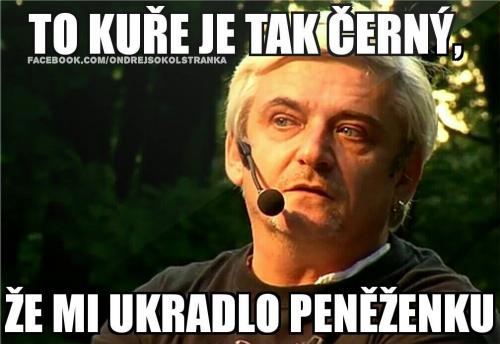 Černý kuře 