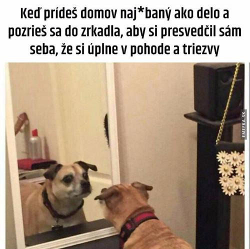  Ze života:D 