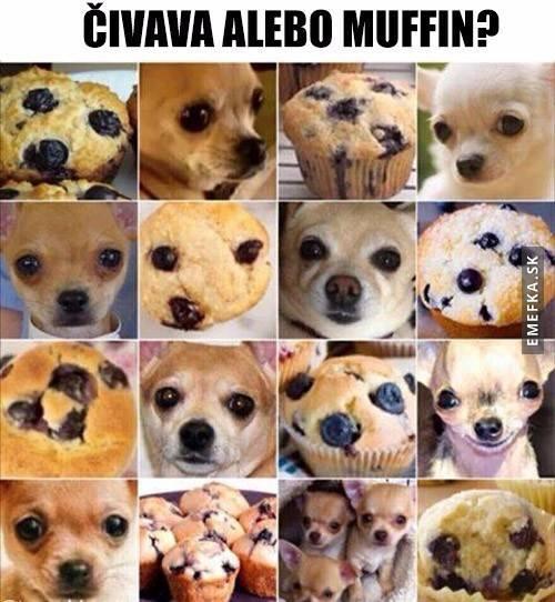  Muffin 