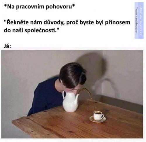  Pohovor 