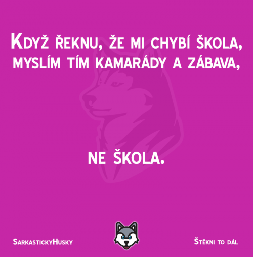  Ne škola 