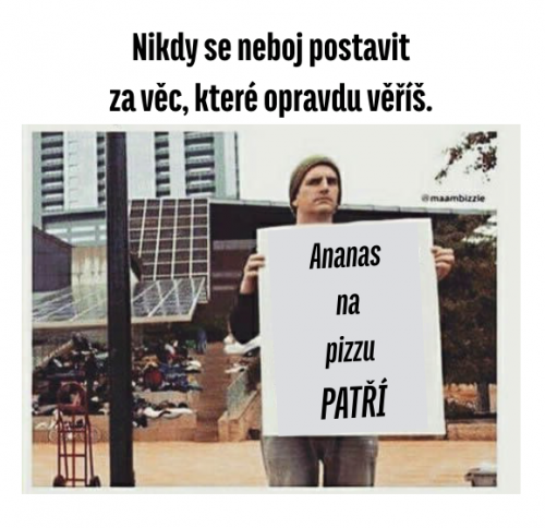  Důvěra 