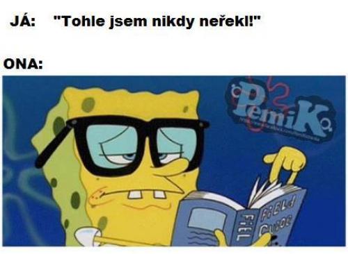  To jsem nikdy neřekl 