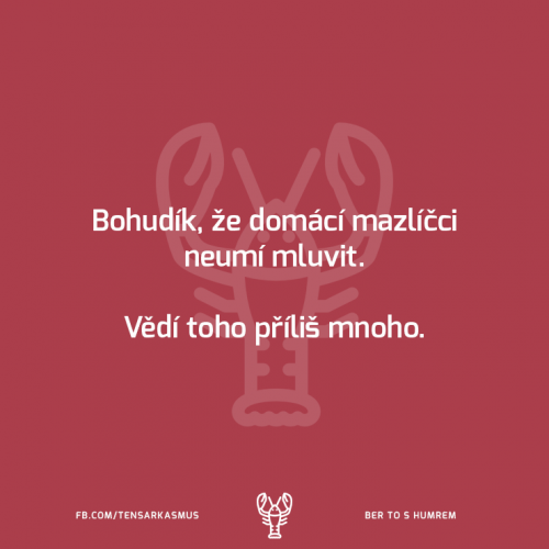Bohudík