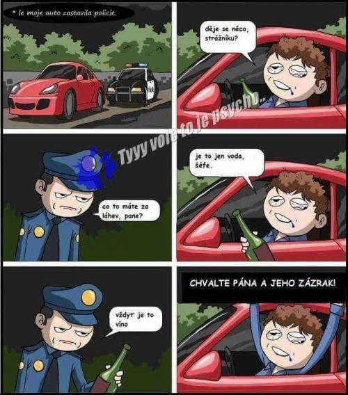 Strážníl