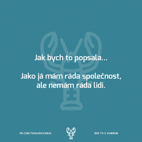 Jak bych to popsala