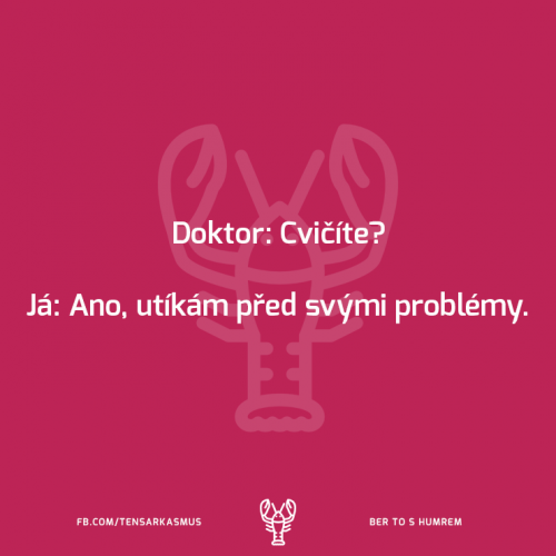 Cvičím