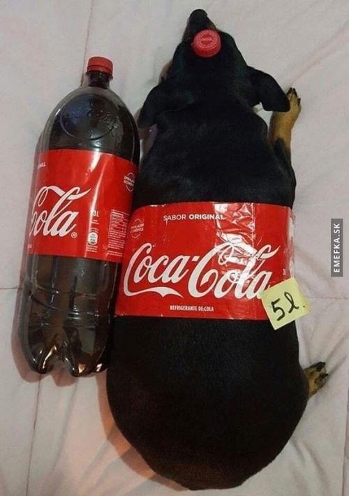  Cola  