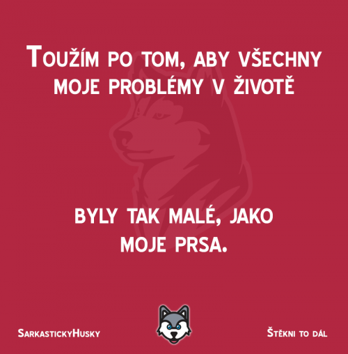  Moje problémy 