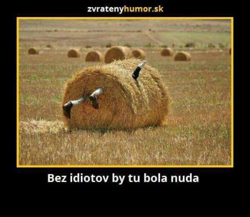  Bez idiotů 