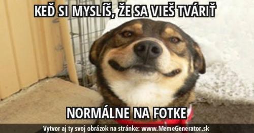  Normální pohled 