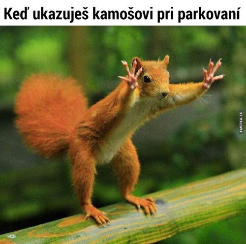  Parkování 