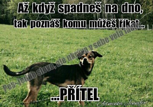  Přítel 