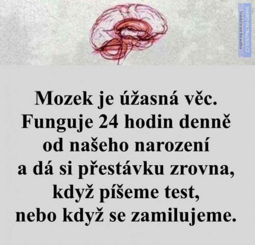 Mozrek