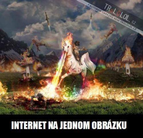  Internet 