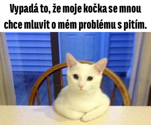  Kočka 