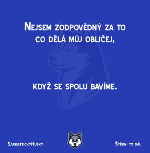 Zodpovědný