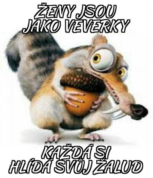  Ženy jsou jako ... 