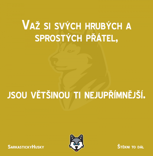  SProstí přátelé 