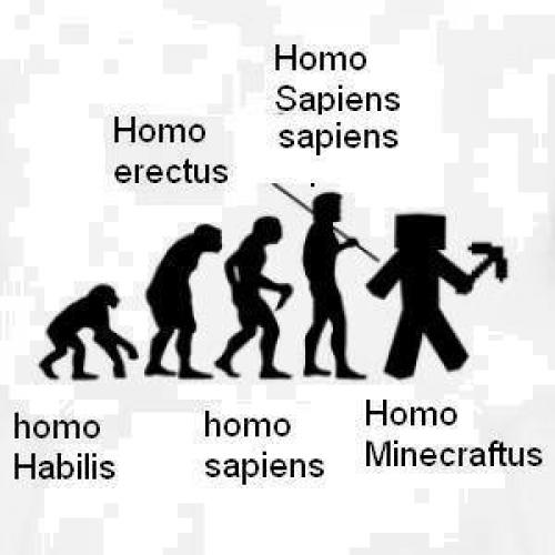  Homo 