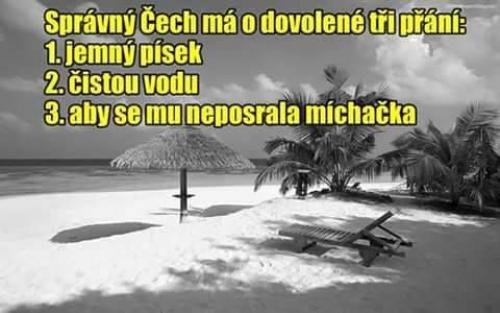 Čech na dovolené