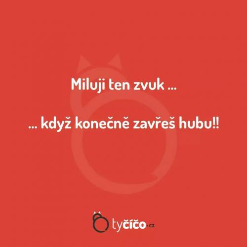  Zvuk 