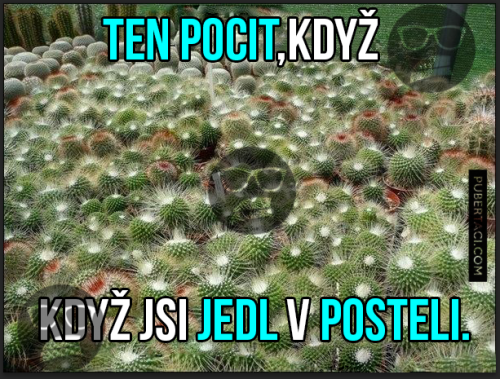  Jídlo v posteli 