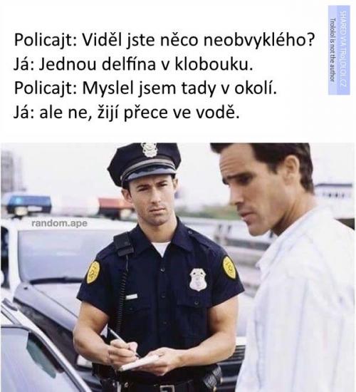  Něco neobvyklého 