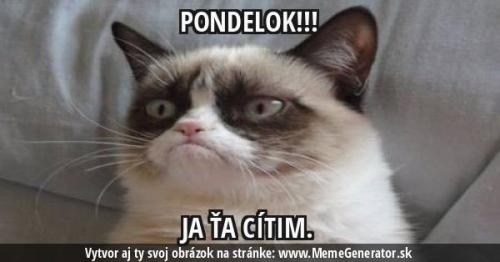  Pondělí 