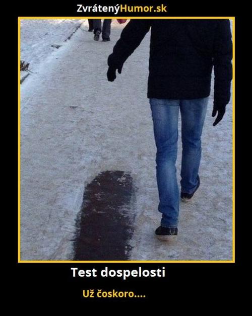  Test dospělosti 