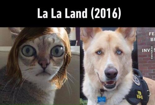 Lala